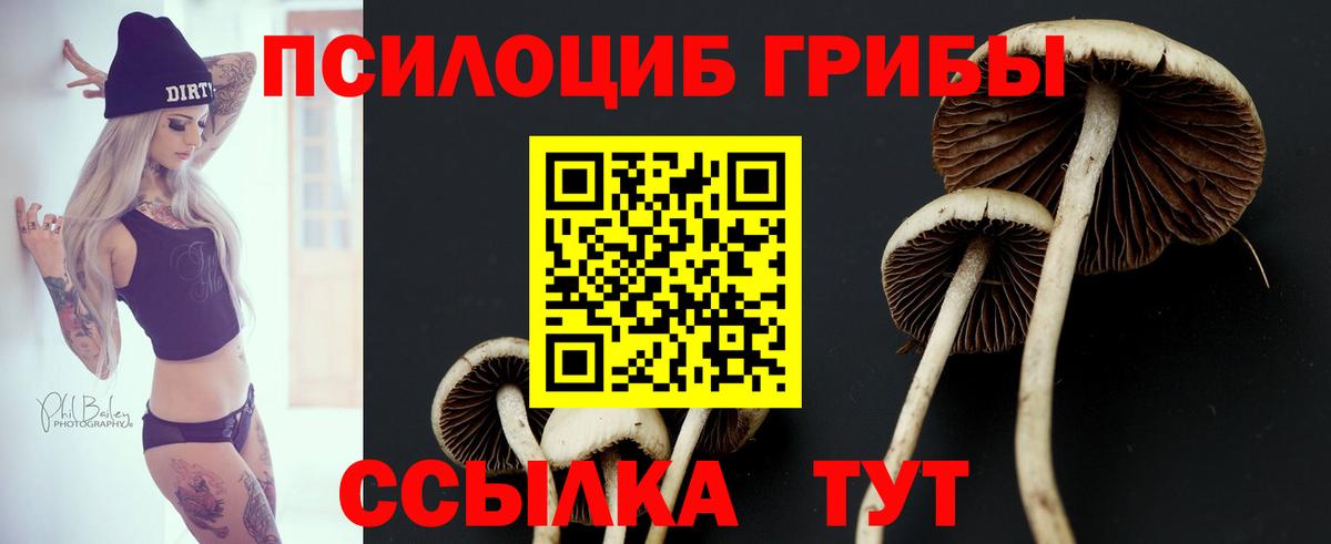Галлюциногенные грибы MAGIC MUSHROOMS Краснотурьинск
